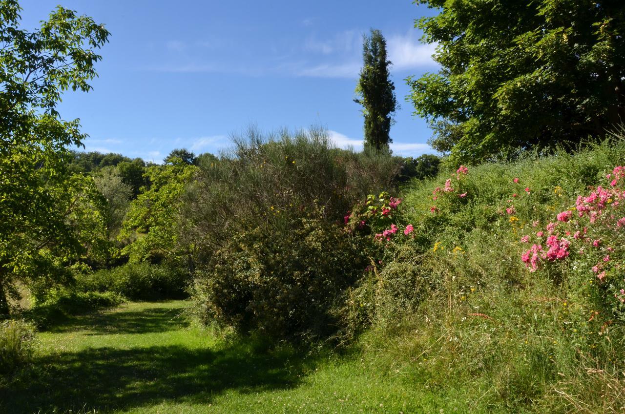 Agriturismo Villa Mozart Nel Verde Gubbio Luaran gambar