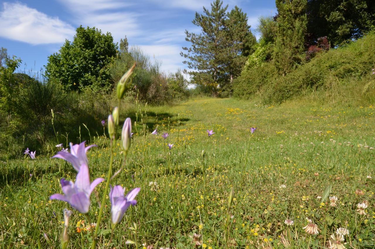 Agriturismo Villa Mozart Nel Verde Gubbio Luaran gambar