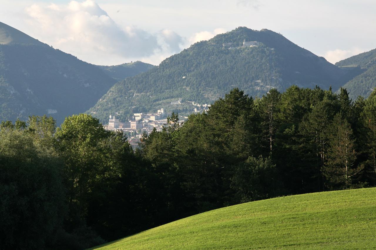 Agriturismo Villa Mozart Nel Verde Gubbio Luaran gambar