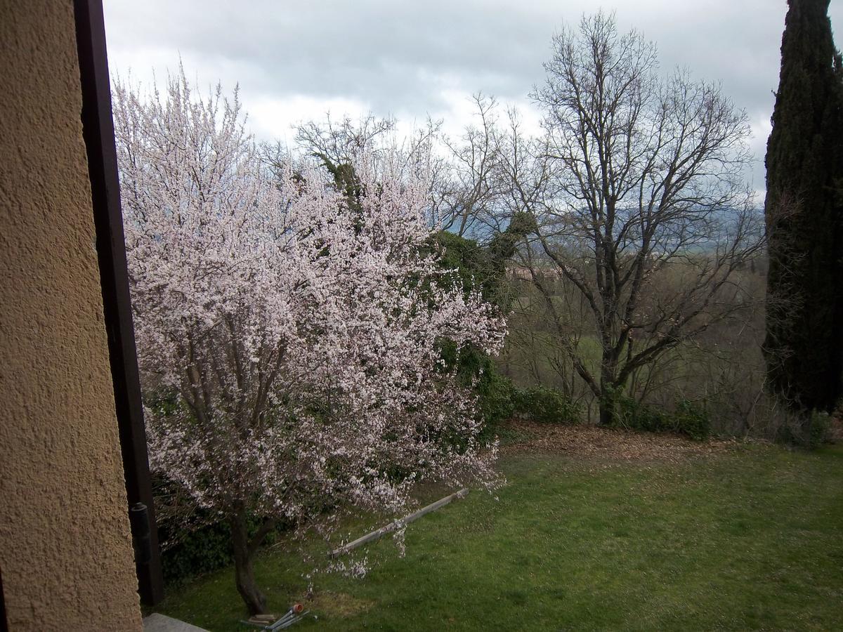 Agriturismo Villa Mozart Nel Verde Gubbio Luaran gambar