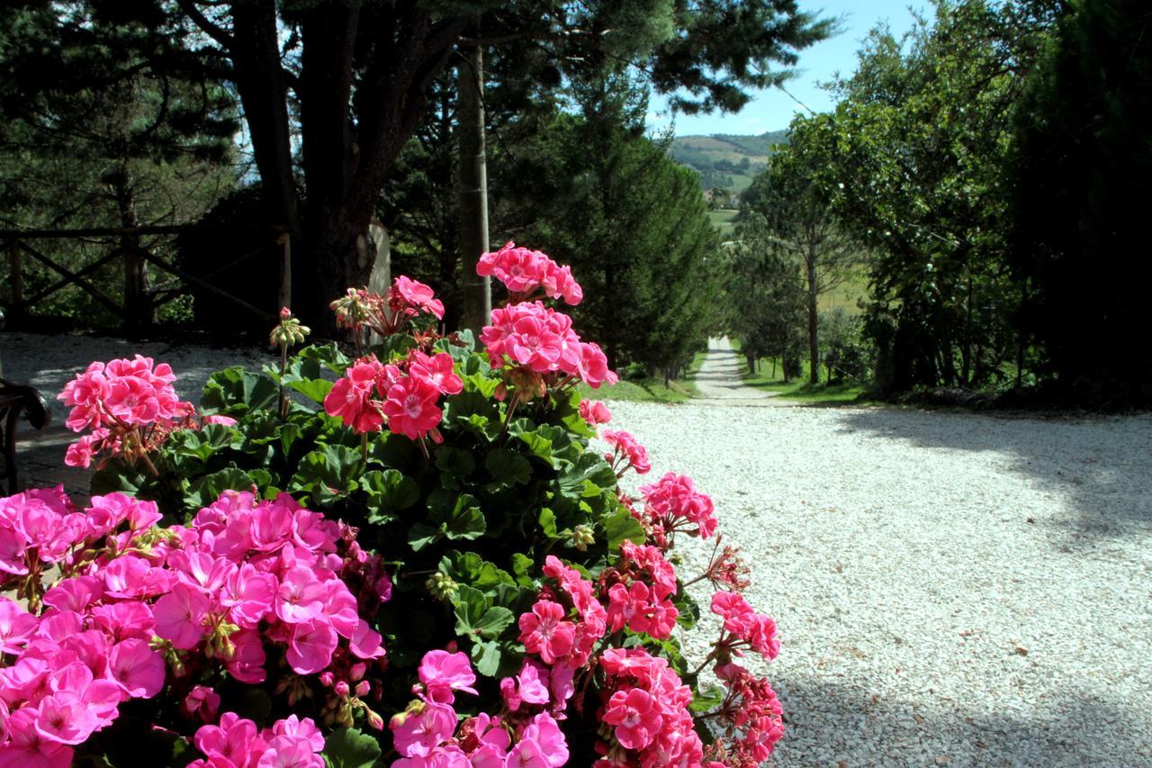 Agriturismo Villa Mozart Nel Verde Gubbio Luaran gambar