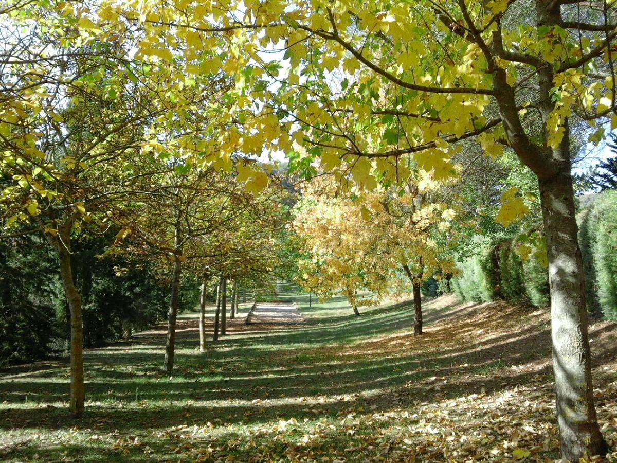 Agriturismo Villa Mozart Nel Verde Gubbio Luaran gambar