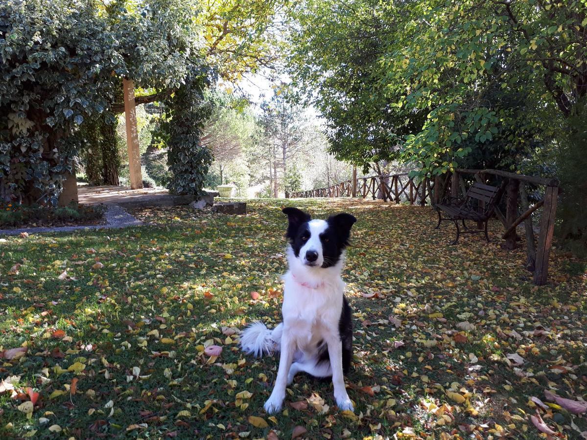 Agriturismo Villa Mozart Nel Verde Gubbio Luaran gambar