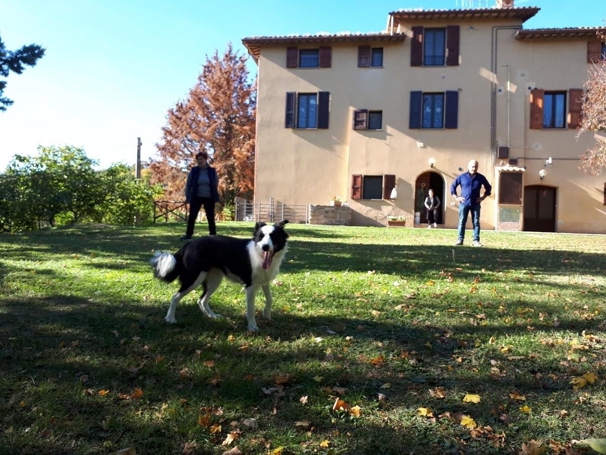 Agriturismo Villa Mozart Nel Verde Gubbio Luaran gambar